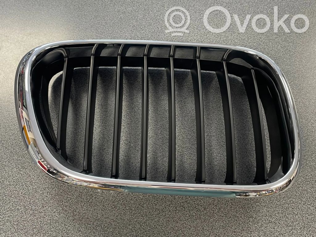 BMW X5 E53 Rejilla inferior del parachoques delantero 