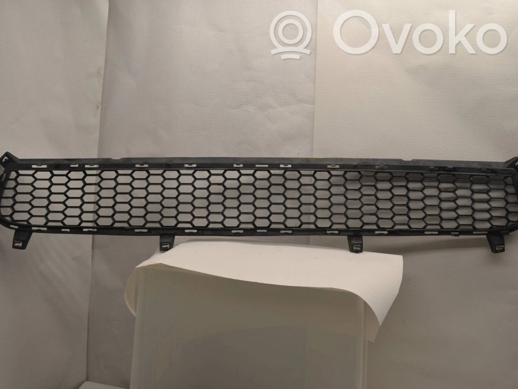 BMW X5 E70 Front bumper lower grill 