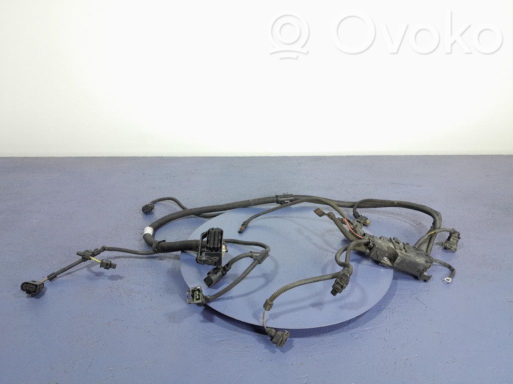 BMW X5 E70 Otros cableados 