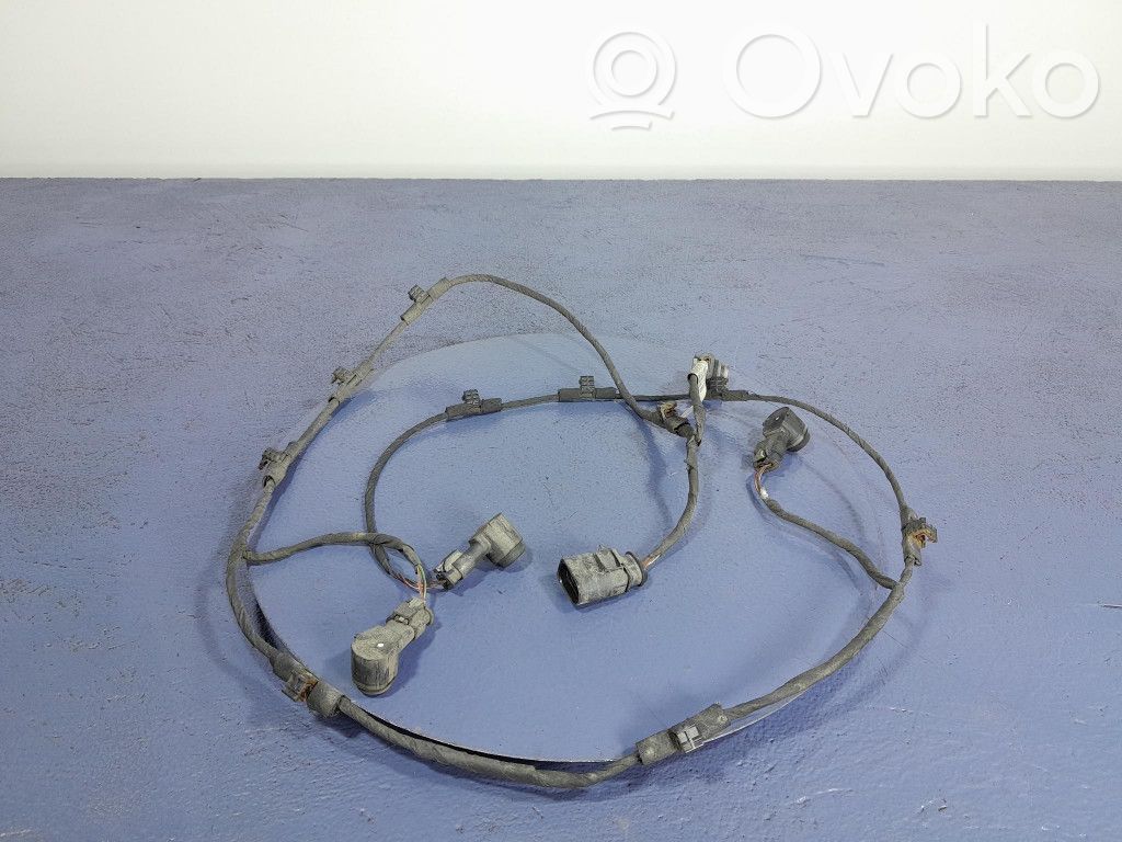 Volkswagen PASSAT B7 Sonstige Kabelbäume / Leitungssätze 