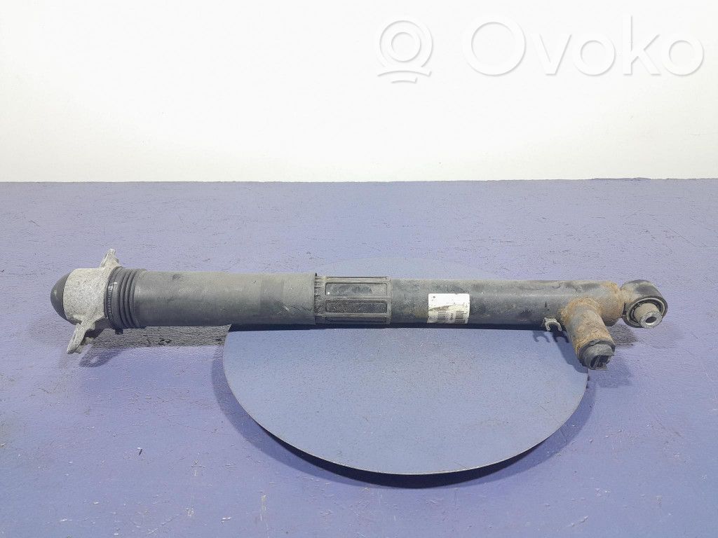 Stoßdämpfer hinten