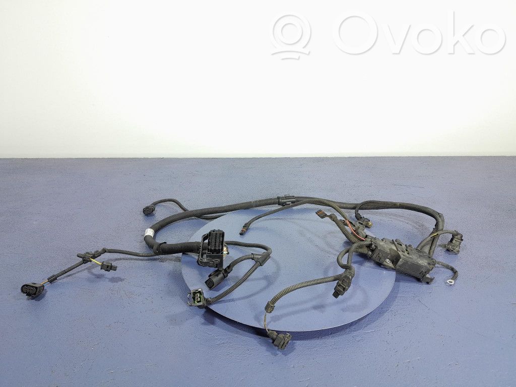 BMW X5 E70 Sonstige Kabelbäume / Leitungssätze 