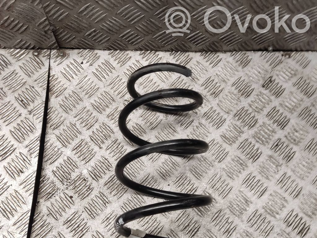 Front coil spring