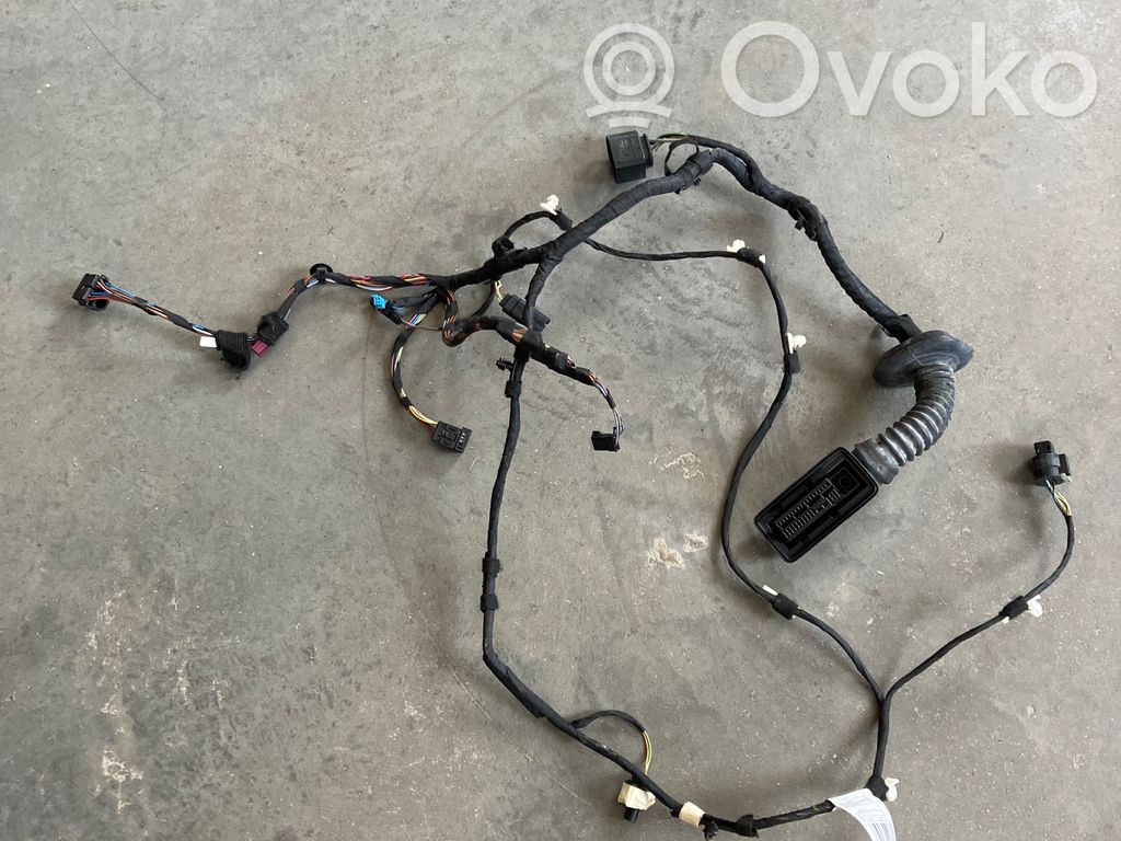 BMW X5 F15 Cablaj ușă față 