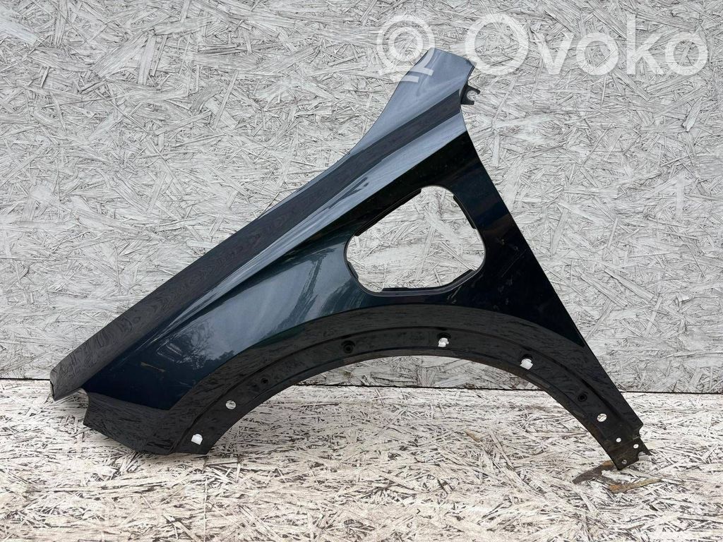 Guardabarro   5FF821115