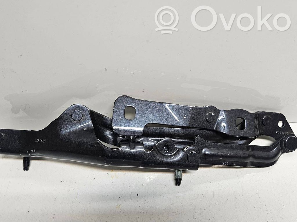 Tesla Model 3 Highland Aizmugurējā pārsega eņģe (-ess) 