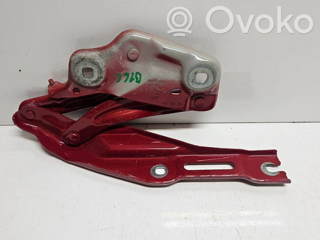 Skoda Scala Balamale capotă 