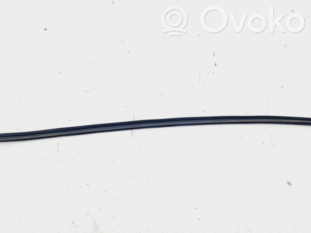 Volkswagen PASSAT B6 Windshield trim 