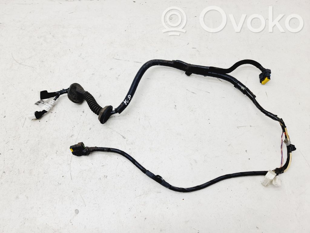 Cableado de puerta delantera   241249U12A