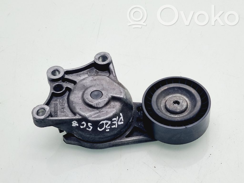 Peugeot 508 Napinacz paska alternatora 