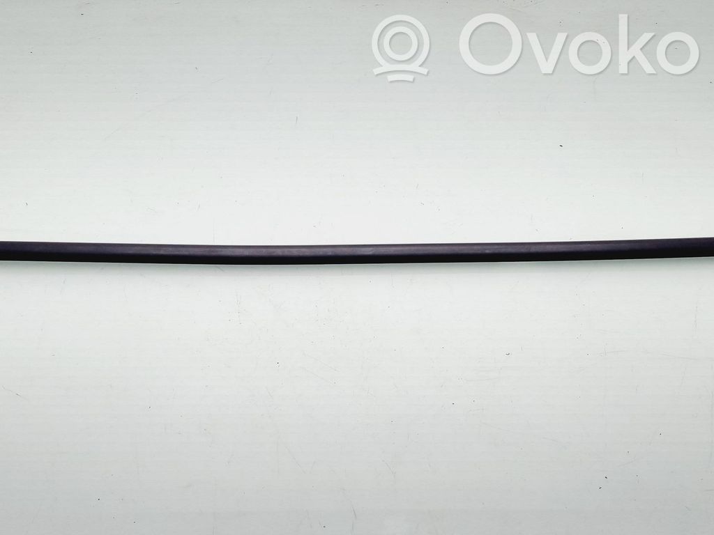 BMW 3 F30 F35 F31 Listwa / Uszczelka szyby drzwi tylnych 