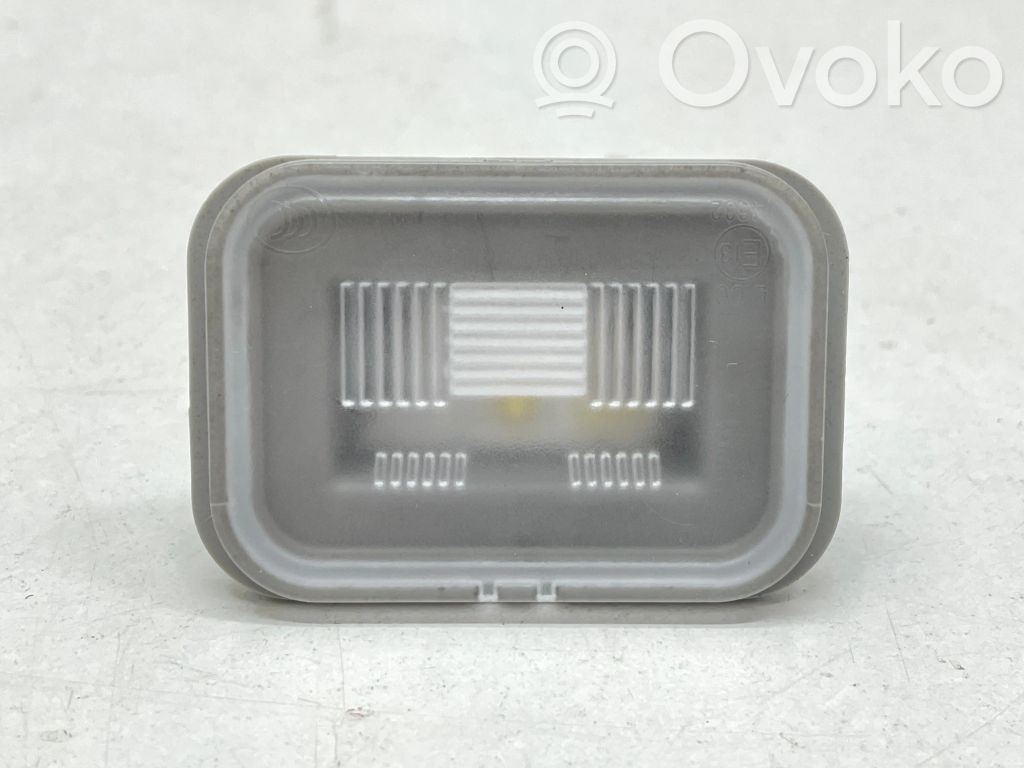 KIA EV6 Kennzeichenbeleuchtung 