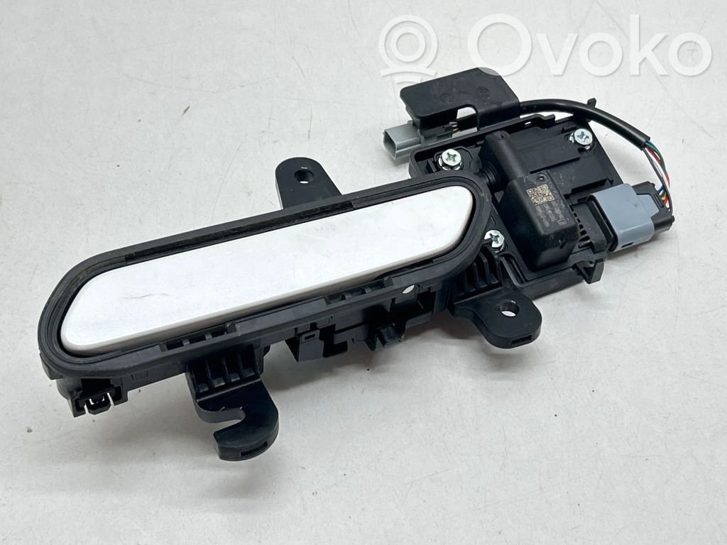 KIA EV6 Manecilla externa puerta trasera 