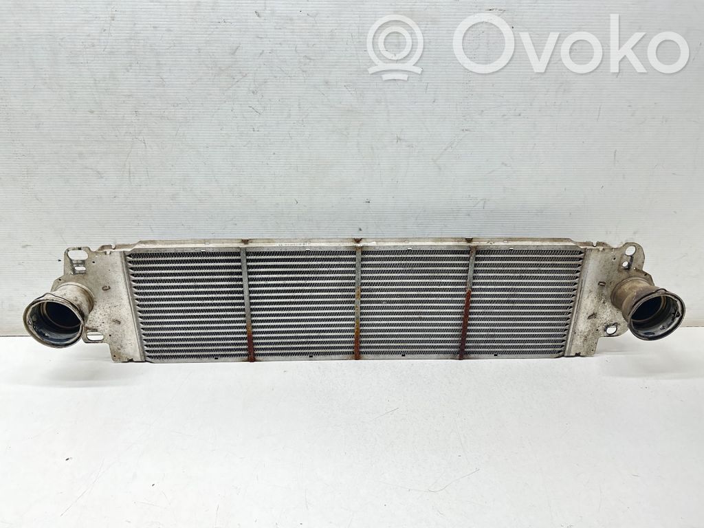 Volkswagen Transporter - Caravelle T5 Radiator intercooler 