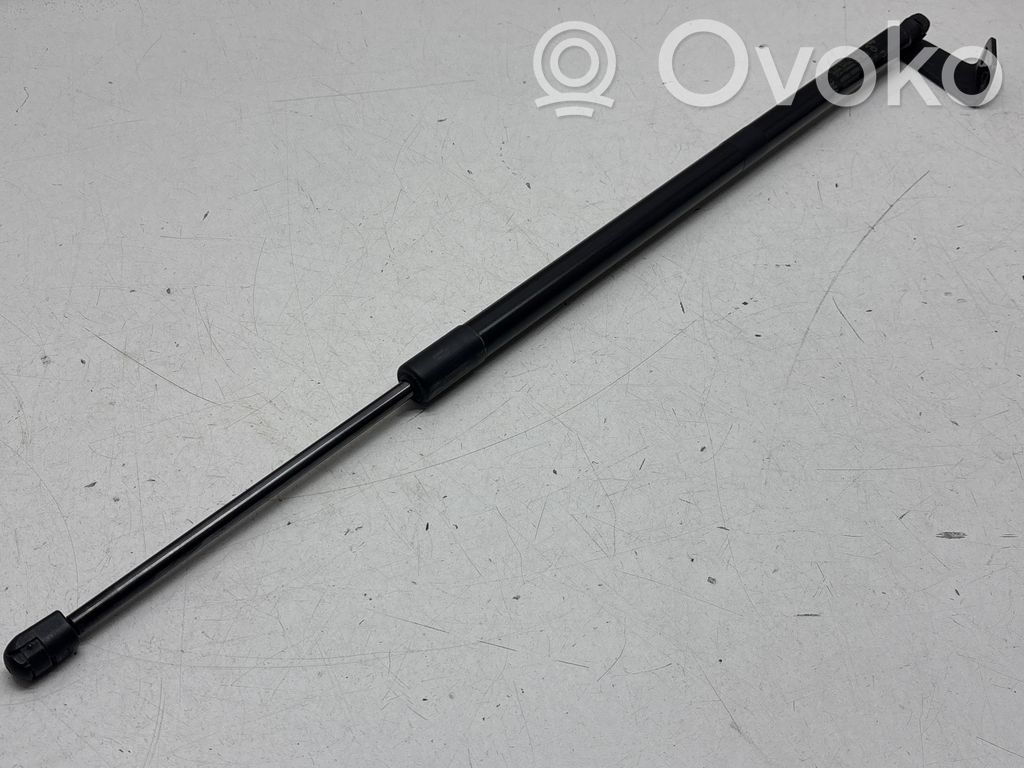 Chrysler Pacifica Tailgate/trunk strut/damper 