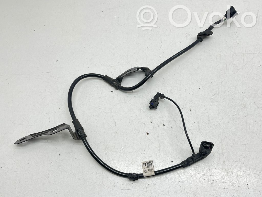 Cableado del sensor ABS trasero   59796AT100