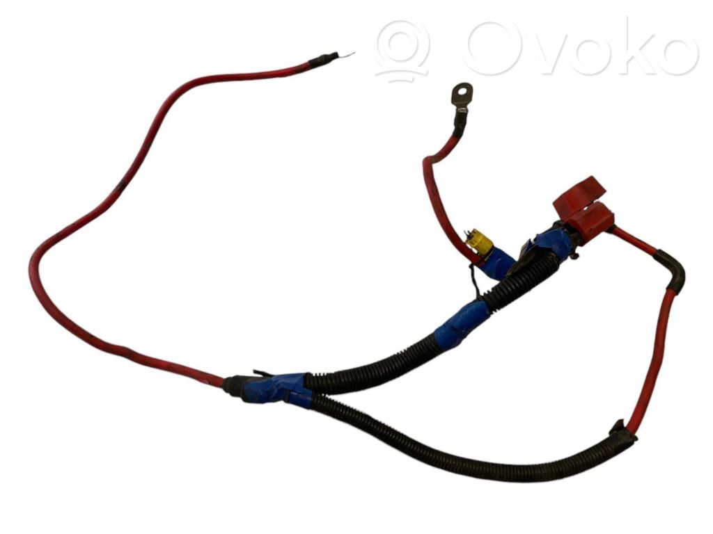 Plusa vads (akumulatora)   8387231