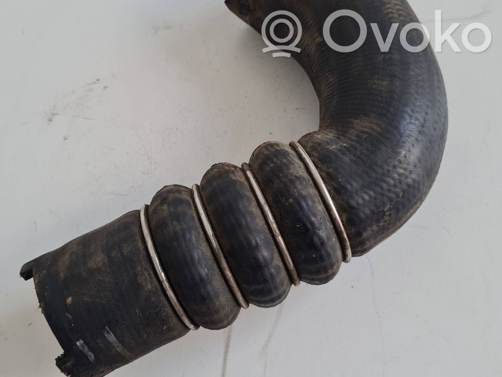 Intercooler hose/pipe   504116893A