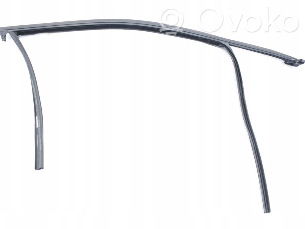 BMW X3 G01 Listwa / Uszczelka szyby drzwi przednich 