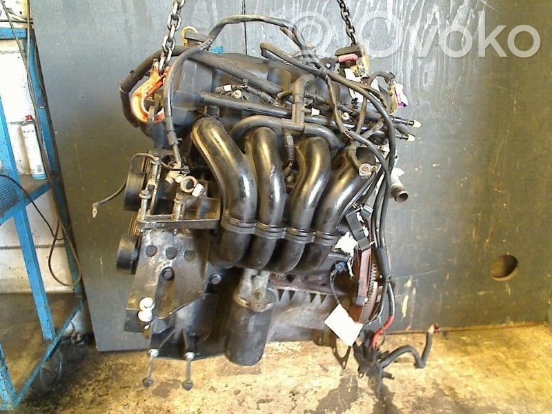Motor