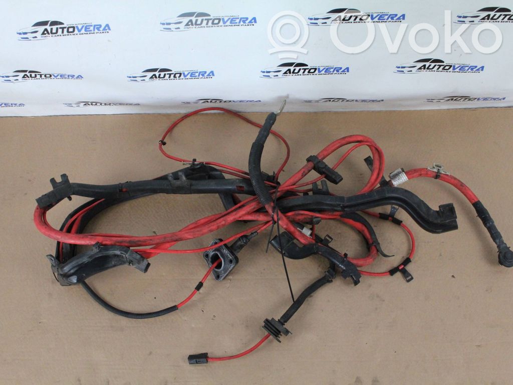 Plusa vads (akumulatora)   9218606