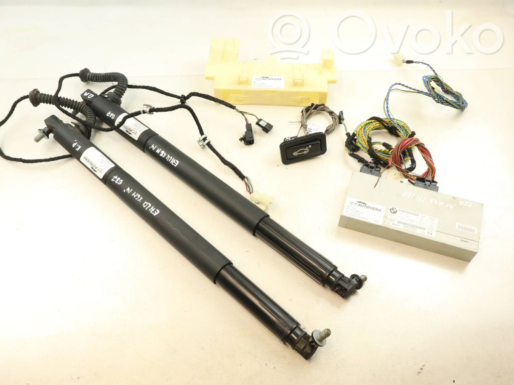 Tailgate/trunk control unit/module   7335274,61357335274,2133865601,7332697,7332698,8375580