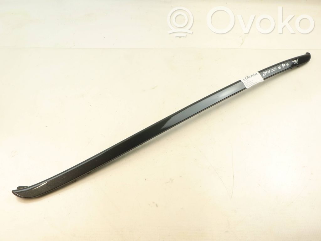 BMW X6 M Windshield trim 
