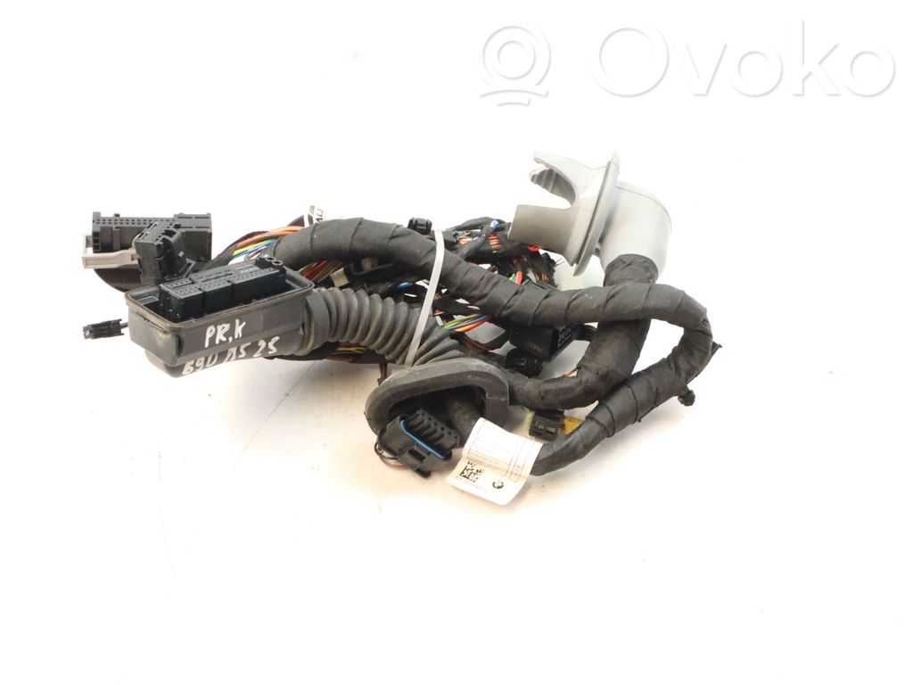 Cableado de puerta delantera   5A8BF93,517028653,E5R54RA1