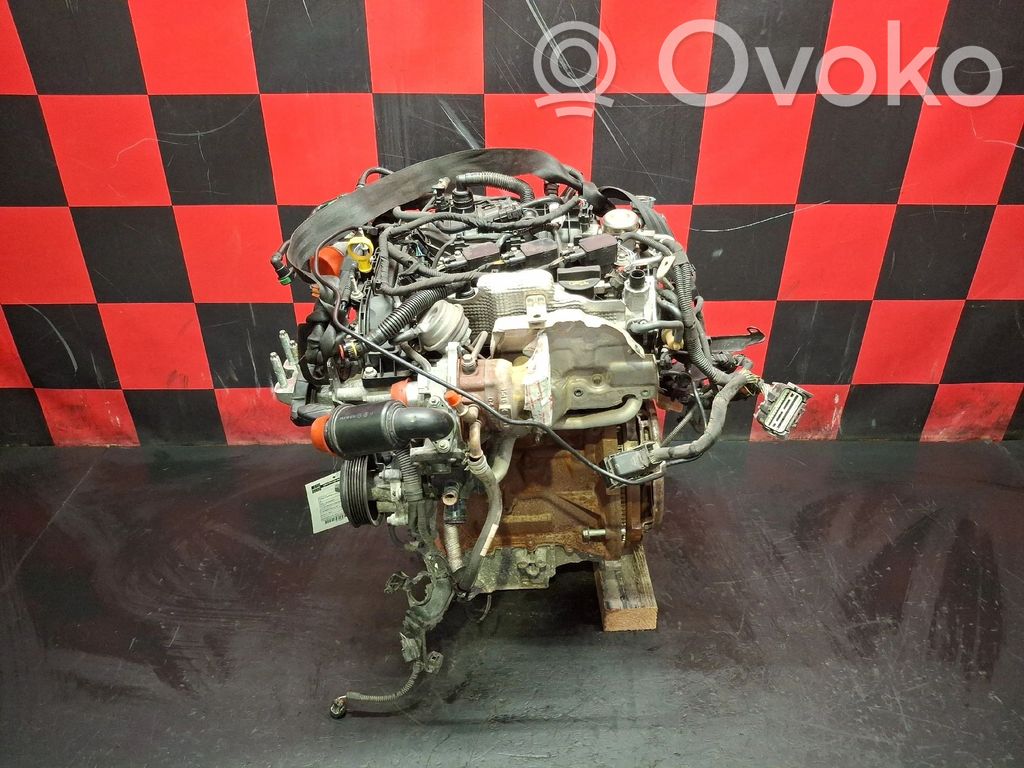 Motor   REFERENCIASFCC,53420053,BOSCH0261555137,DM5G9H487AA,FY67945