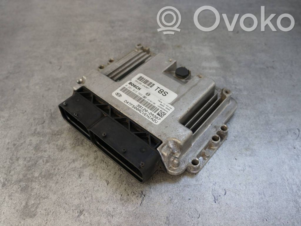 Engine control unit/module   391202A307,0281019569