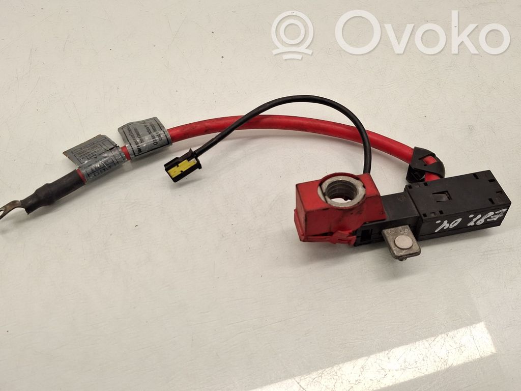Pluskabel Batterie   6929707