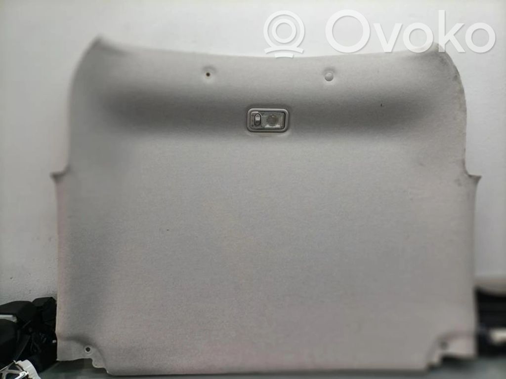 Citroen C3 Headlining 
