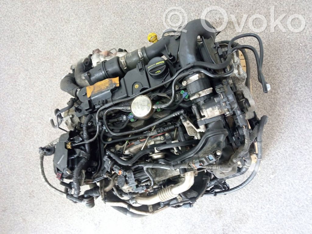 Moottori   G1PQ6007AA,TDCI