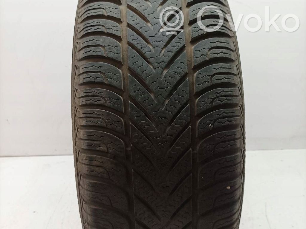 Nissan Primera R16 žieminė padanga (-os) 