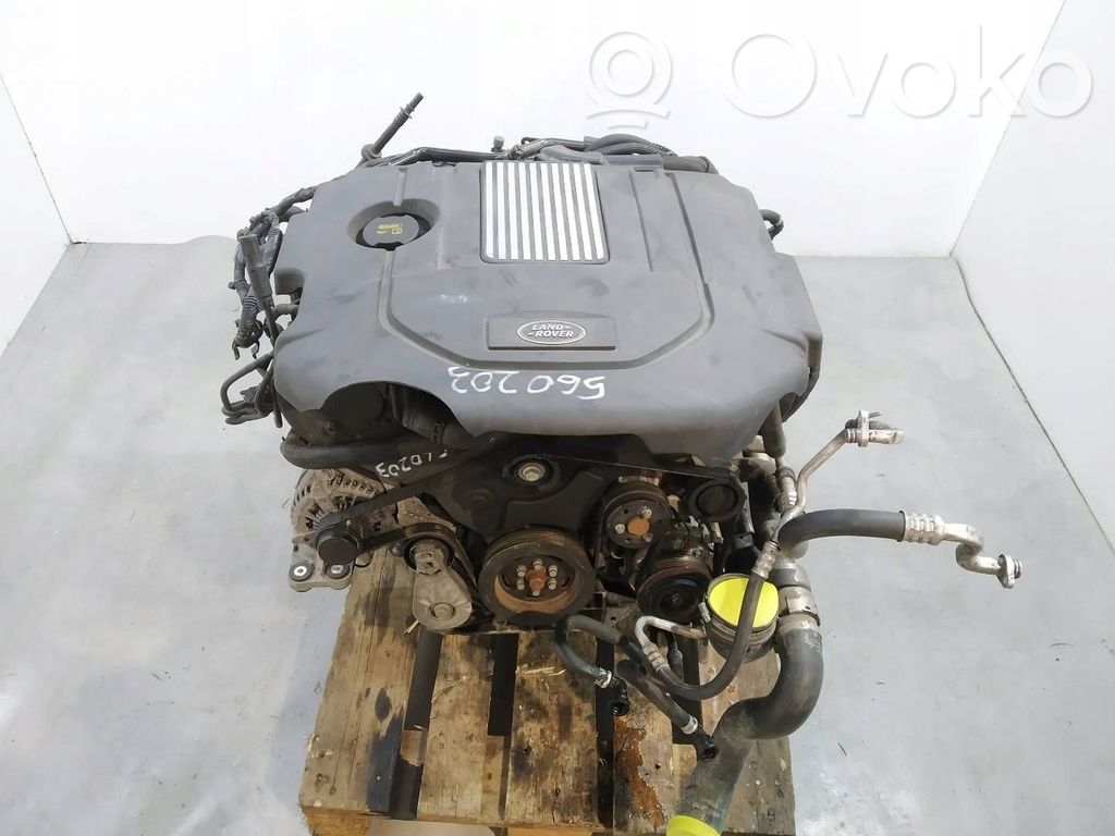 Land Rover Range Rover Sport L494 Motore 