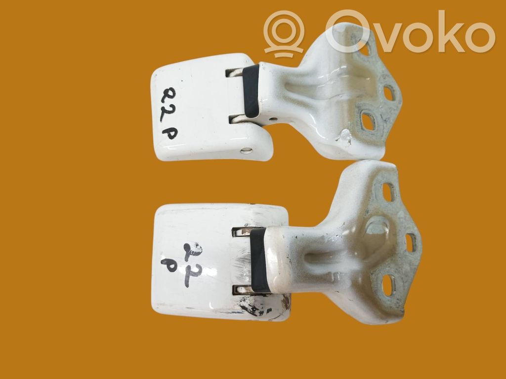 Peugeot Expert Front door hinges set 