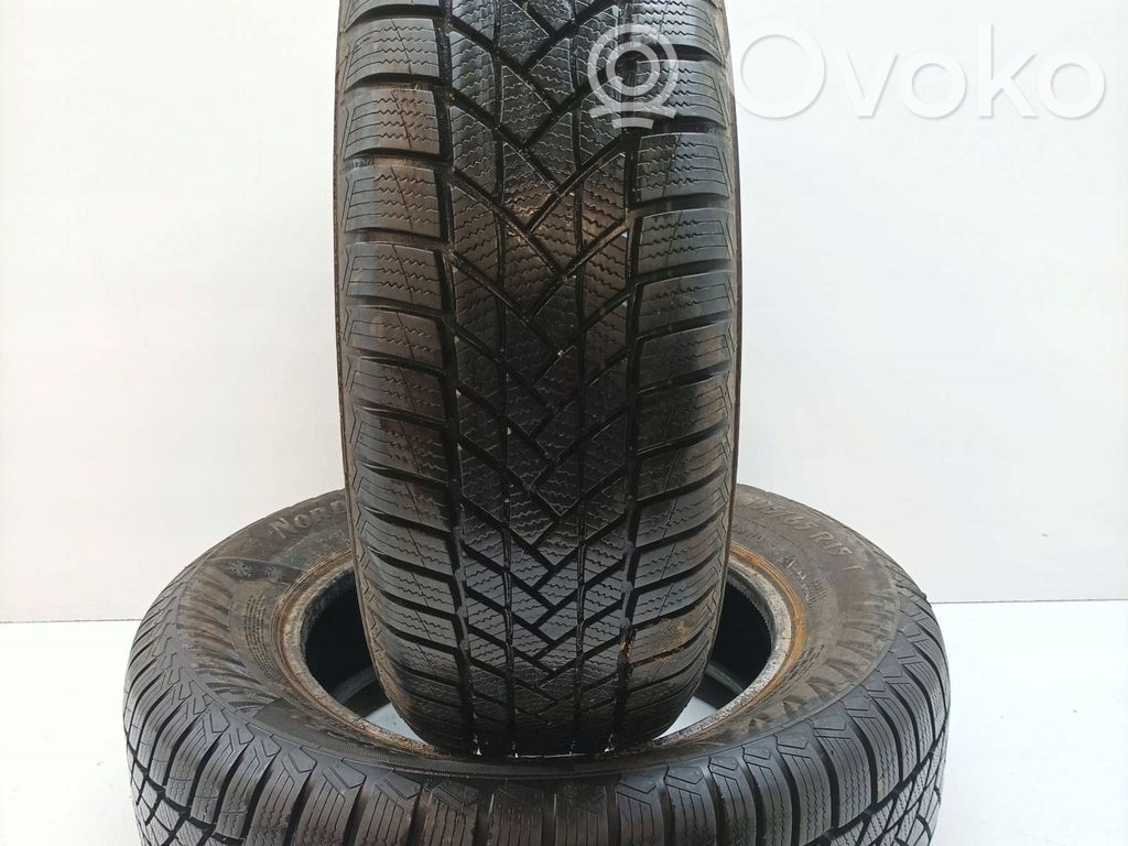 Neumático de invierno R15