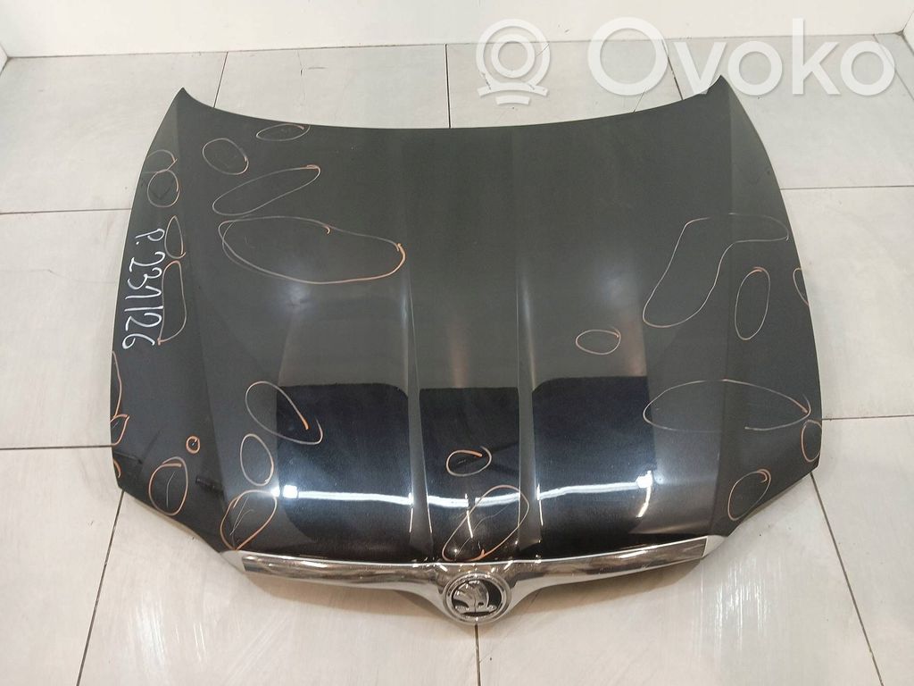 Vano motore/cofano