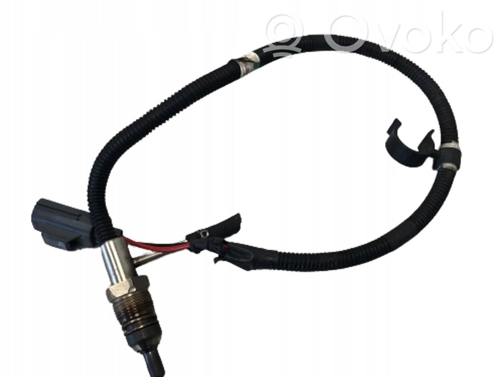 Ford Kuga II Fuel tank valve 