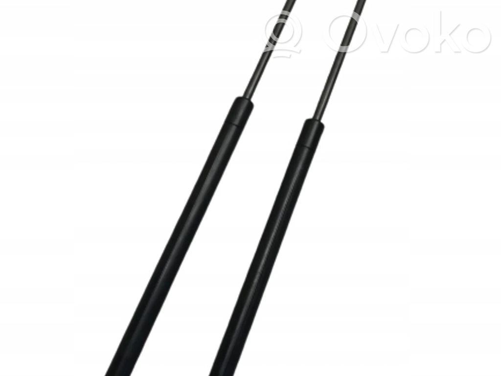 Volkswagen Eos Tailgate/trunk strut/damper 