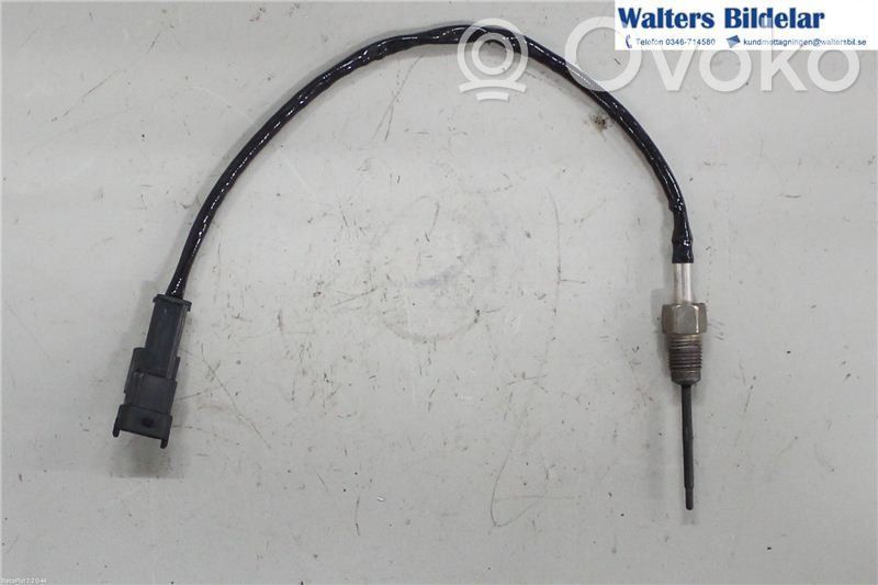 Abgastemperatursensor