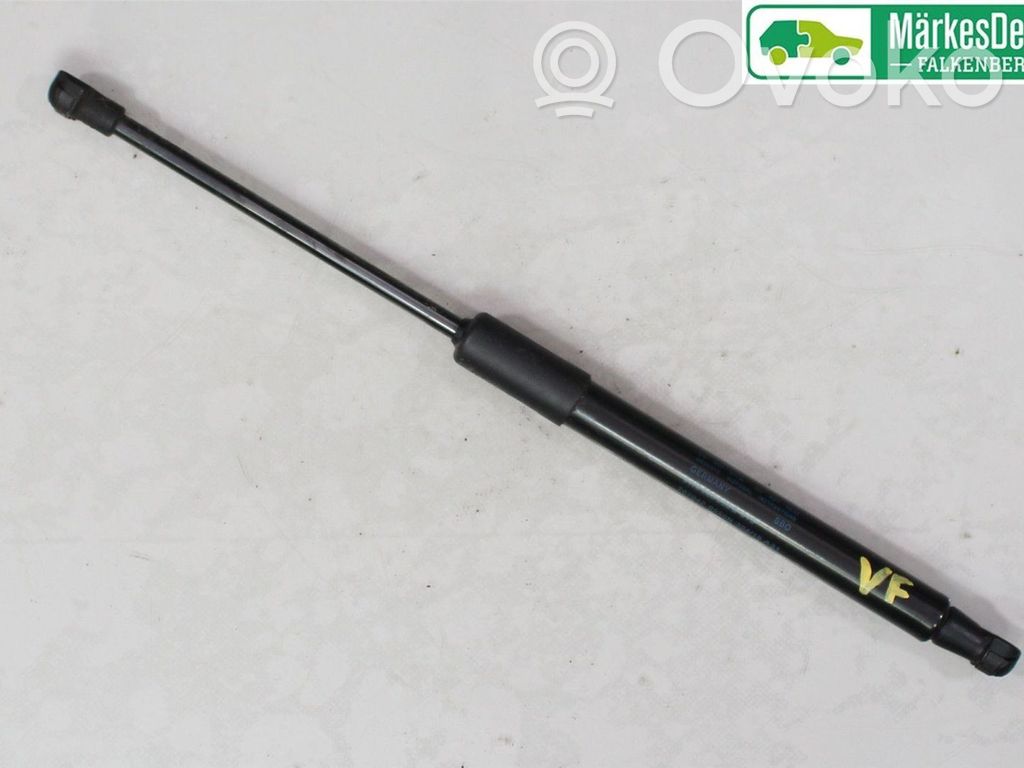 Audi A4 S4 B9 8W Ammortizzatore portellone anteriore/cofano 