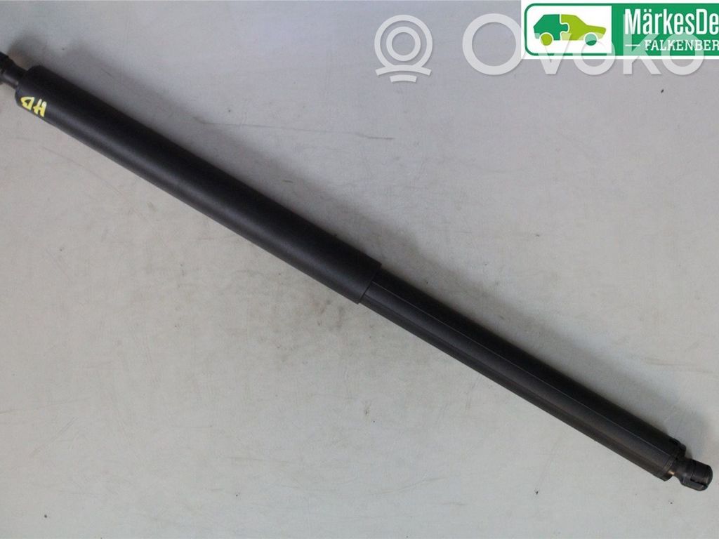 Tailgate strut   10416172,10416172