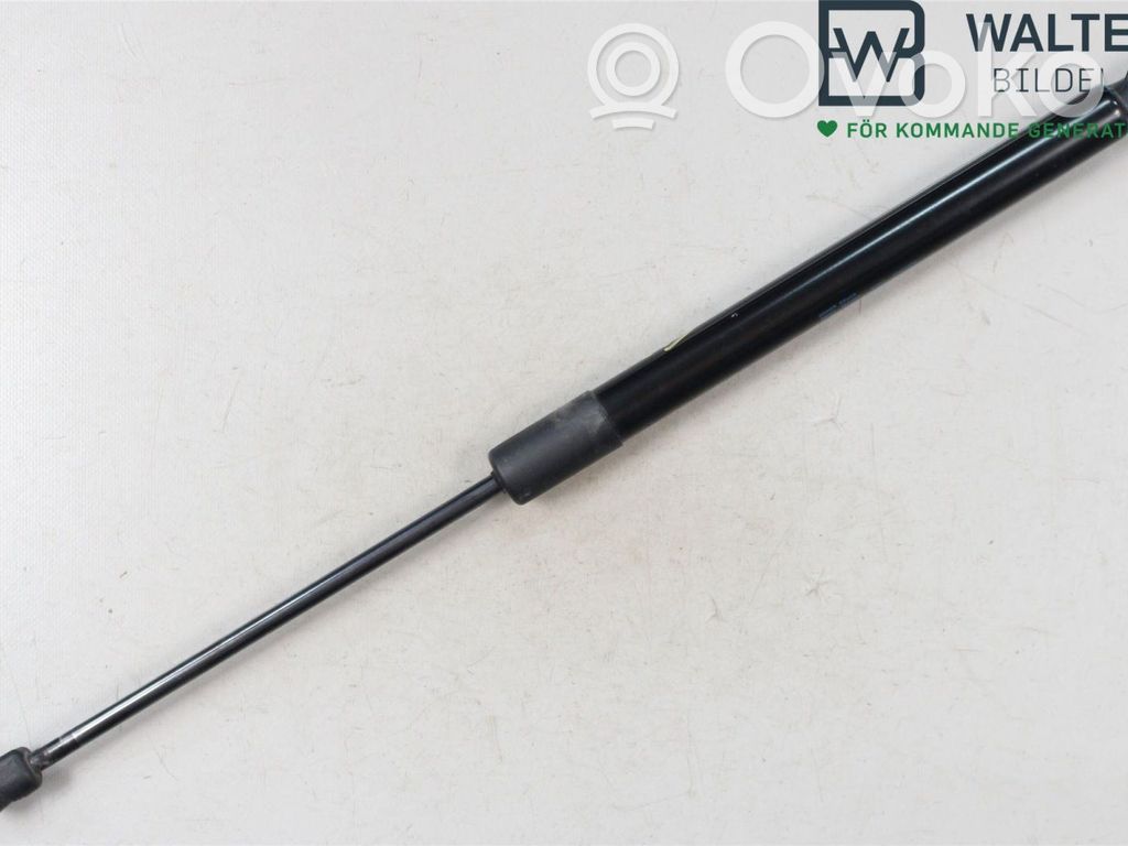 Audi Q3 8U Tailgate strut 