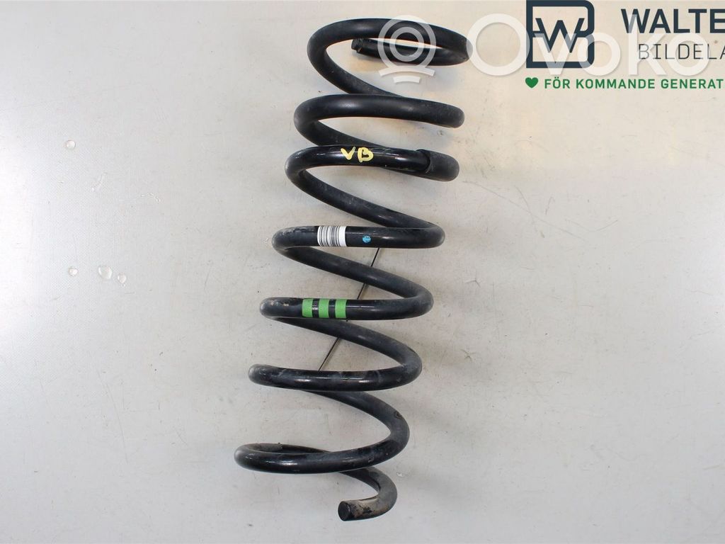 Rear coil spring