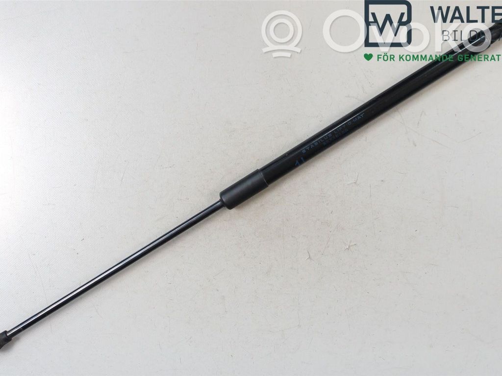 Toyota Corolla E210 E21 Tailgate strut 