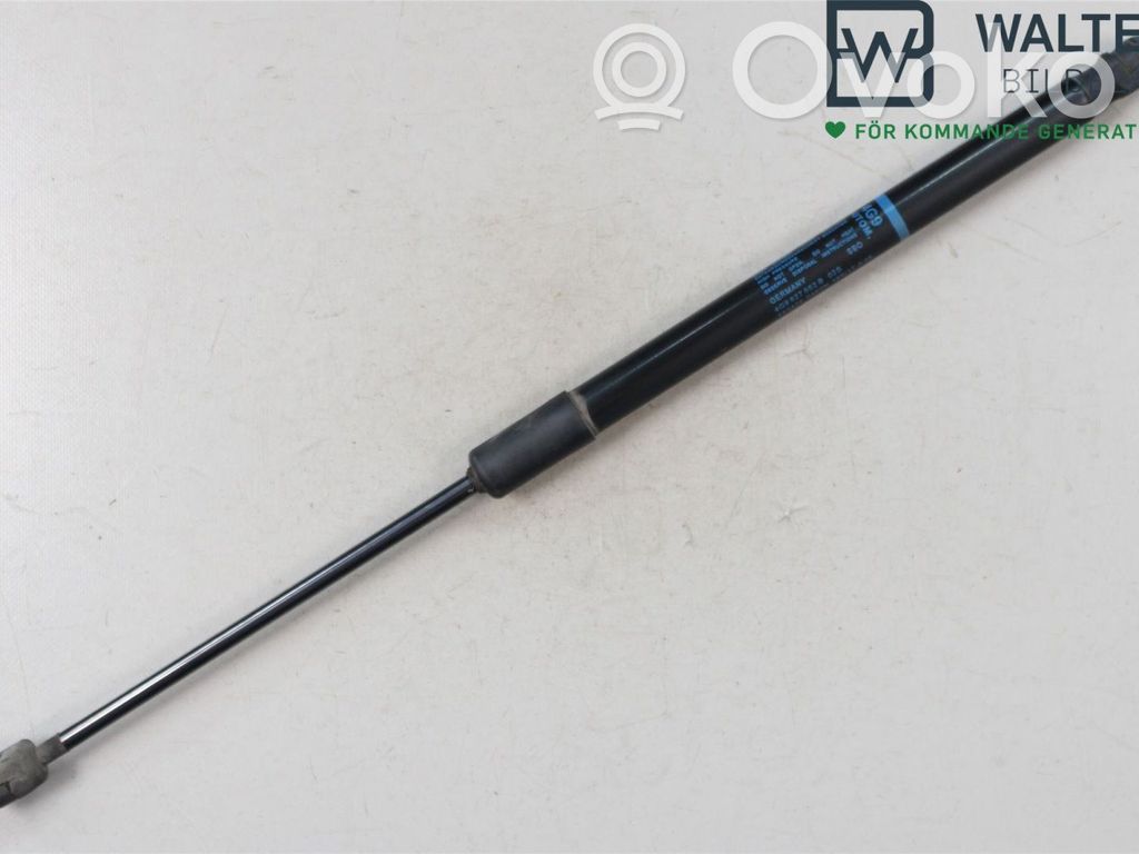 Audi A6 S6 C7 4G Puntone del portellone posteriore 