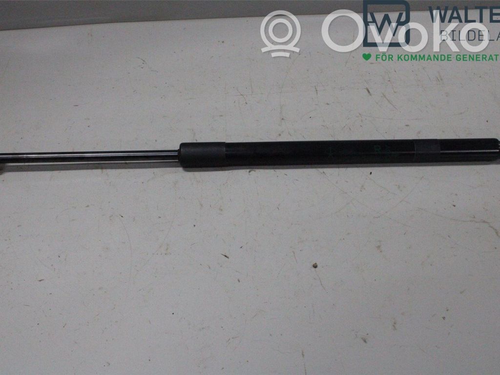 Tailgate strut   68250004AC,68250004AC