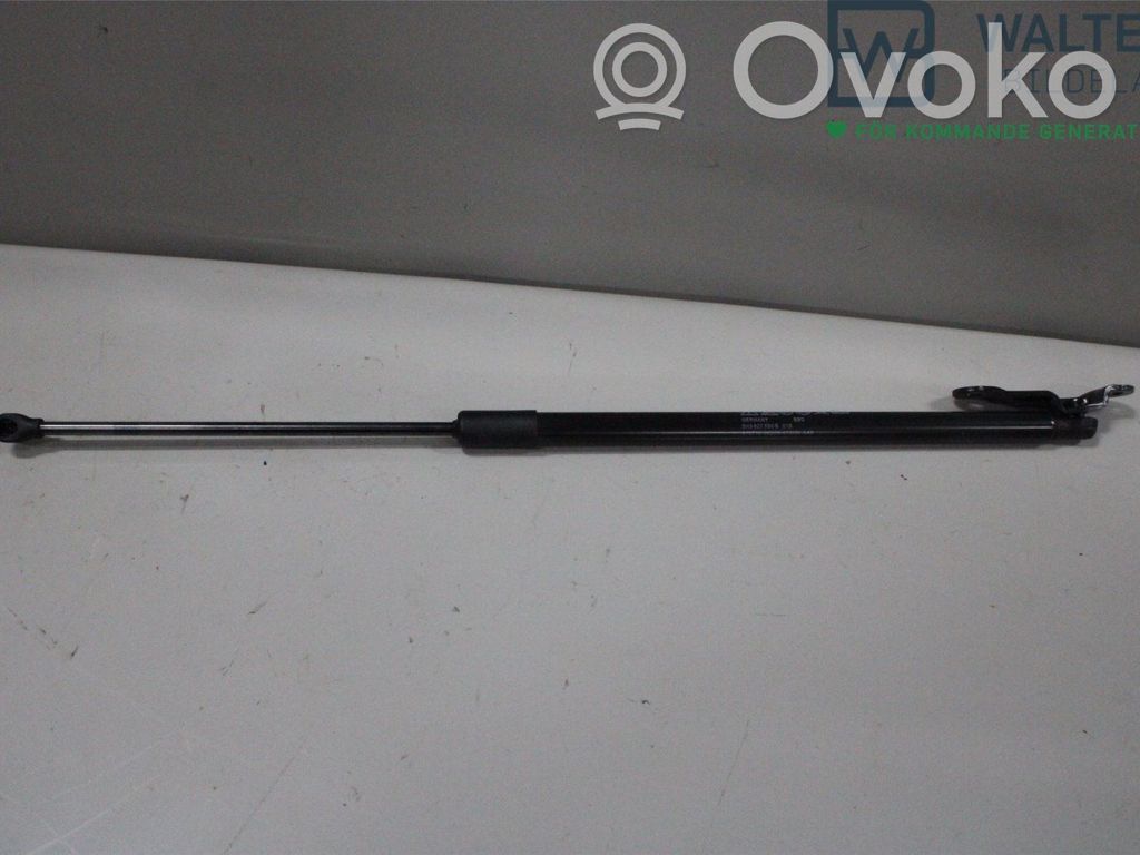 Volkswagen Golf VIII Jambe de force de hayon