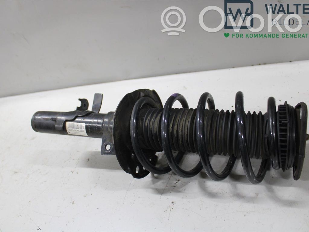 Ford Focus Front shock absorber with coil spring 